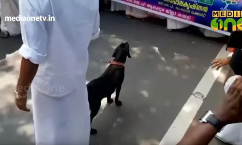 ജി സുധാകരന്റെ വസതിയിലേക്ക് ബി.ജെ.പിയുടെ ‘ഡോഗ് മാര്ച്ച്’ പൊലീസ് തടഞ്ഞു ജി സുധാകരന്റെ വസതിയിലേക്ക് ബി.ജെ.പിയുടെ ‘ഡോഗ് മാര്ച്ച്’ പൊലീസ് തടഞ്ഞു