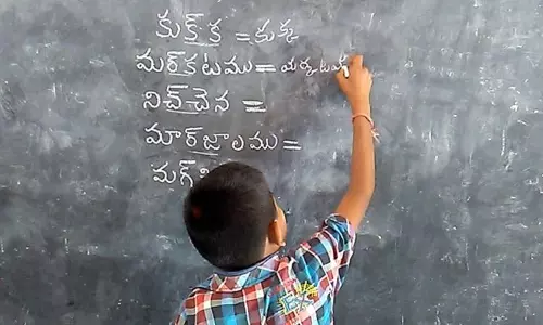 അമേരിക്കയില്‍ അതിവേഗം വളരുന്ന ഭാഷ തെലുഗു