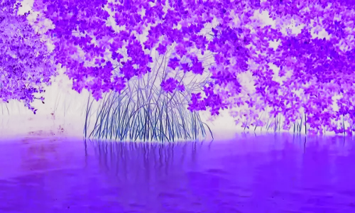 കടലുണ്ടി - വള്ളിക്കുന്ന് കമ്യൂണിറ്റി റിസർവ്വ് പദ്ധതി ഇപ്പോഴും കടലാസില്‍ തന്നെ 