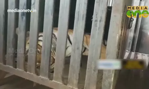 മഹാരാഷ്ട്രയിലെ കടുവ വേട്ടയുടെ കഥ | 03-11-18Part5 