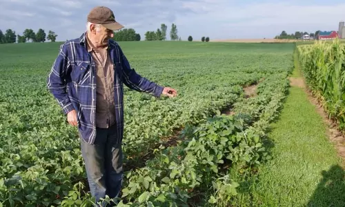 അമേരിക്ക-ചെെന വ്യാപാര യുദ്ധത്തില്‍ പൊറുതിമുട്ടി അമേരിക്കന്‍ കര്‍ഷകര്‍