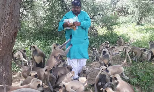 1700 ചപ്പാത്തിയുമായി കുരങ്ങുകളെ തേടി വരുന്ന ഒരാള്‍...