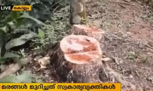 കല്ലട ഇറിഗേഷന്‍ പ്രൊജക്ടിന്റെ ഭൂമിയില്‍ അനധികൃത മരംമുറി