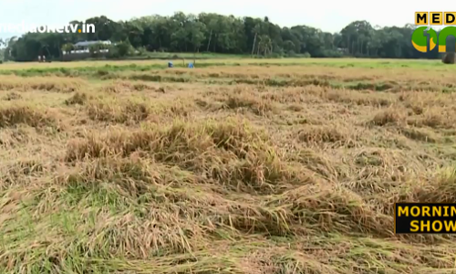 പ്രളയ ദുരിതത്തില്‍ നിന്നും കരകയറാതെ അപ്പര്‍ കുട്ടനാട്