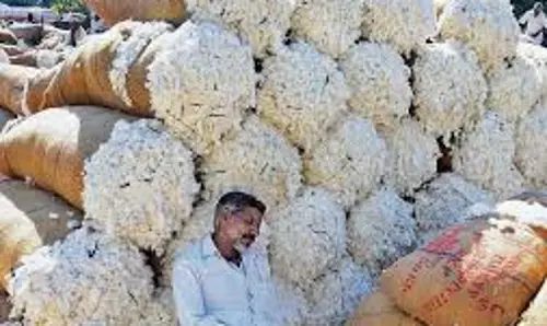 സ്പിന്നിംഗ് മില്ലിലേക്ക് കോട്ടണ്‍ വാങ്ങല്‍: കോട്ടണ്‍ കോര്‍പ്പറേഷന്‍ ഓഫ് ഇന്ത്യയെ ഒഴിവാക്കുന്നു