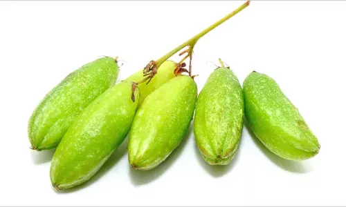 കൊളസ്ട്രോള്‍ കുറയ്ക്കാന്‍ ഇലുമ്പന്‍പുളി കഴിക്കുന്നവരാണോ ? ഇത് വായിക്കാതെ പോകരുത്...