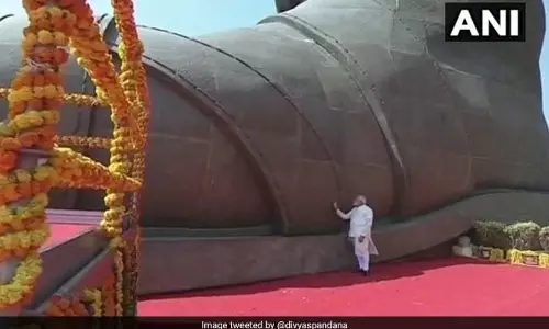 പട്ടേല്‍ പ്രതിമക്ക് സമീപം പക്ഷി കാഷ്ഠമോ? മോദിയെ പരിഹസിച്ച് ദിവ്യ സ്പന്ദന