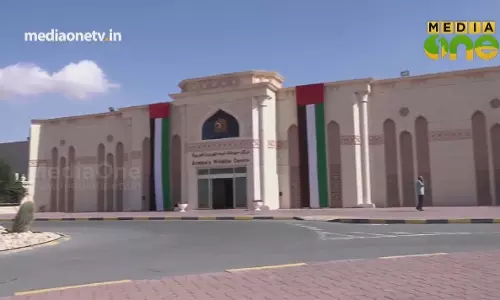 മരുഭൂമിയിലെ ജീവികൾ | Sharjah Arabian Wildlife Centre