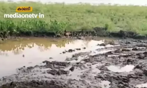 പുഴയില്‍ നിന്ന് മണലൂറ്റുന്നതായി പരാതി