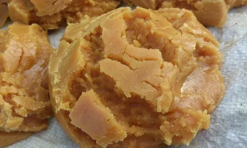 ശബരിമലയിലേക്കുള്ള ശർക്കര നീക്കം പ്രതിസന്ധിയിൽ