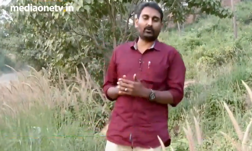 മനംമയക്കുന്ന പ്രകൃതി ഭംഗി കാണണോ..?കൊരങ്ങന്‍ ചോലയിലേക്ക് വരൂ