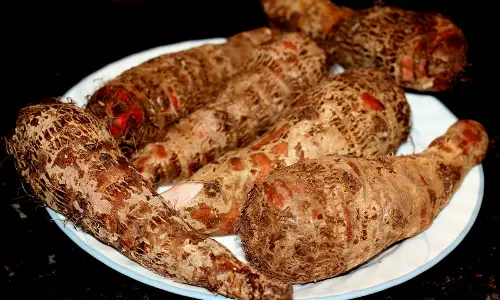 ചൊറിയുമെങ്കിലും ചേമ്പ് ചില്ലറക്കാരനല്ല