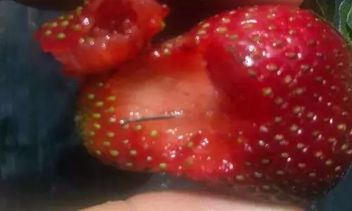 സ്‌ട്രോബറിക്കുള്ളില്‍ സൂചി, അമ്പതുകാരി അറസ്റ്റില്‍