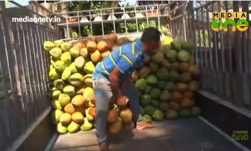 സലാലയില്‍ നിന്നും ചില തെങ്ങ് പാഠങ്ങള്‍  291 Part4