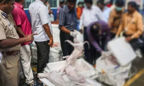 ഹോട്ടലുകളില്‍ വിതരണം ചെയ്യാന്‍ എത്തിച്ച 1100 കിലോഗ്രാം പട്ടിയിറച്ചി പിടിച്ചെടുത്തു