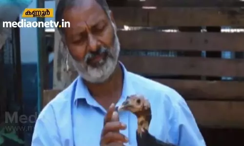 കൃഷി ചെയ്യാന്‍ സ്ഥലമില്ല, സമയമില്ല എന്നൊക്കെ പറയുന്നവര്‍ ഫ്രാന്‍സിസിന്‍റെ കൃഷിയിടമൊന്ന് കാണണം