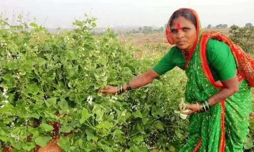 റാഹിബായ് സോമയെന്ന വിത്തമ്മ: അറിയണം ബി.ബി.സി പട്ടികയിലെ ആ ഇന്ത്യക്കാരിയെ റാഹിബായ് സോമയെന്ന വിത്തമ്മ: അറിയണം ബി.ബി.സി പട്ടികയിലെ ആ ഇന്ത്യക്കാരിയെ