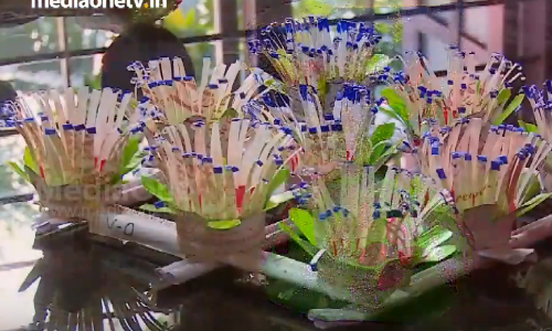 പാഴ് വസ്തുക്കളിൽ നിന്ന് അലങ്കാര വസ്തുക്കൾ; സെഹ മെഹ്‍റിന്റെ നേരമ്പോക്കുകള്‍ ഇങ്ങിനെയാണ്