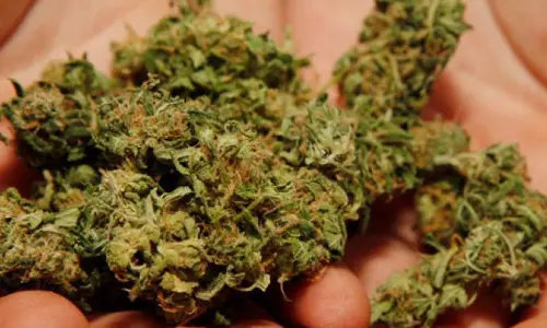 ഏറ്റവും വലിയ മയക്കുമരുന്ന് വേട്ട നടത്തി തിരുവനന്തപുരം സിറ്റി പൊലീസ്; 10 കോടി വില വരുന്ന ഹാഷിഷ് പിടികൂടി