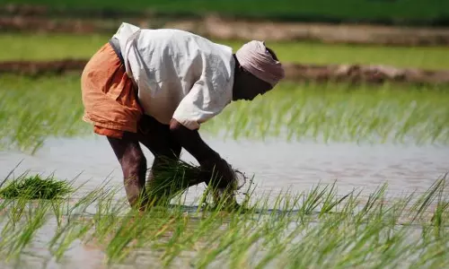 സൗജന്യ വിത്ത്, ബണ്ട് നിർമ്മാണം: കുട്ടനാട്ടുകാര്‍ക്കുള്ള സര്‍ക്കാര്‍ വാഗ്ദാനം പാലിച്ചില്ല 