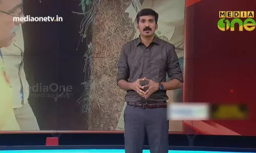 ഗുഹയിലെ മുള്ളൻപന്നിയെ പിടിക്കാൻ പോയയാൾ മരിച്ചു