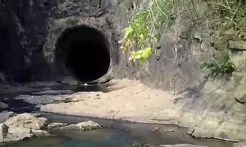 ഉപേക്ഷിച്ച തുരങ്കങ്ങള്‍ വന്യജീവികളും വിഷ ജന്തുക്കളും താവളമാക്കുന്നു