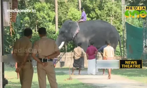 ആന പാപ്പാനെ വലിച്ചെറിഞ്ഞു 