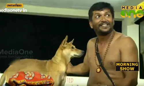 കാല്‍നടയായി ശബരിമലയിലെത്തുന്ന നവീന് കൂട്ടായെത്തുന്ന നായ്ക്കള്‍ 