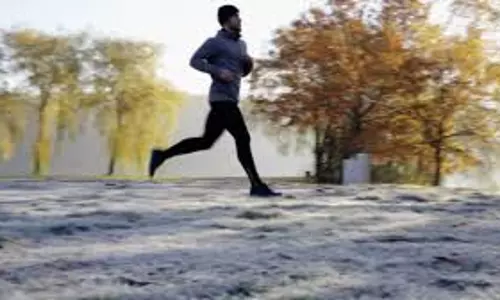 പൊണ്ണത്തടി കുറക്കാൻ.. പൊണ്ണത്തടി കുറക്കാൻ..