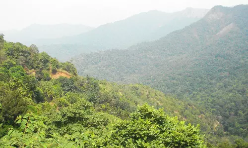 കണ്ണൂരില്‍ വ്യാപക ഭൂമി കയ്യേറ്റം