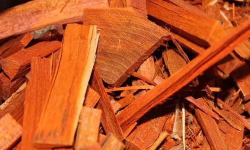 അറിയാമോ പതിമുഖത്തിന്റെ ഗുണങ്ങള്‍