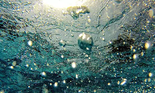 മാലിന്യത്തില്‍ മുങ്ങി മൂവാറ്റുപുഴയാര്‍; നാട്ടുകാര്‍ പ്രക്ഷോഭത്തിന് 