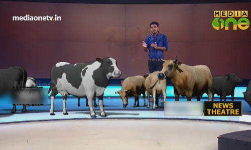 പശു രാഷ്ട്രീയായുധമാകുന്നു