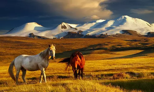 നീലാകാശത്തിന്‍റെ നാട്ടിലൂടെ ഒരു യാത്ര  