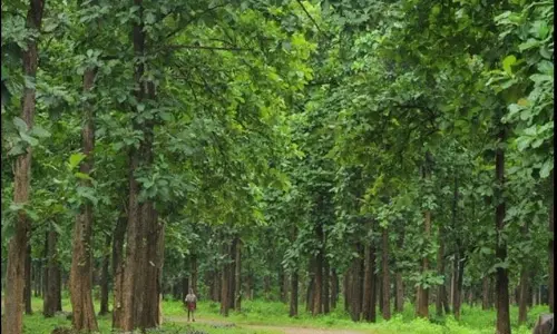 നിലമ്പൂരില്‍ വീണ്ടും മാവോയിസ്റ്റ് സാന്നിധ്യമെന്ന് പൊലീസ്