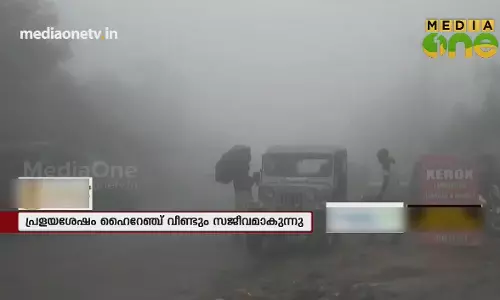 കുളിരണിഞ്ഞ് ഹൈറേഞ്ച്