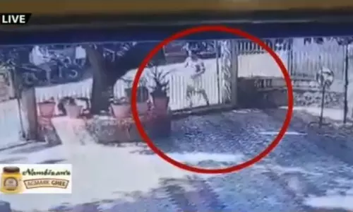 പൊലീസ് സ്റ്റേഷന് നേരെ ആര്‍.എസ്.എസ് ജില്ലാ പ്രചാരക് ബോംബെറിയുന്നതിന്റെ ദൃശ്യങ്ങള്‍ പുറത്ത്