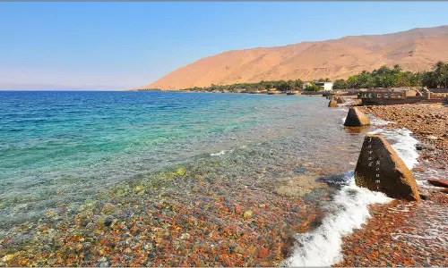 ടൂറിസം മേഖലയില്‍  സ്വദേശിവത്കരണം നടപ്പാക്കണമെന്ന് സൗദി ശൂറ കൗണ്‍സില്‍