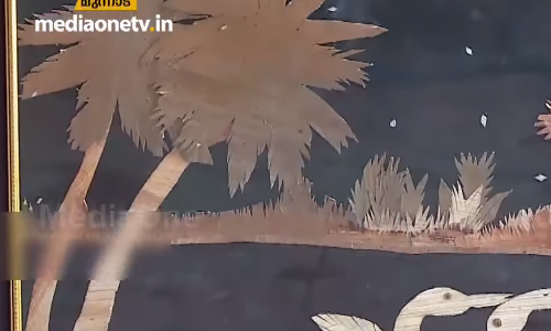 പാള കൊണ്ട് മനോഹരമായ കൊളാഷുകളുമായി രാഘവന്‍