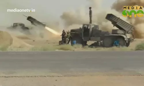 സിറിയൻ പ്രതിസന്ധിയുടെ കാരണങ്ങൾ