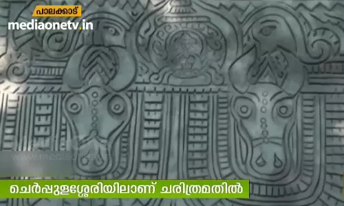 ചെര്പ്പുളശ്ശേരിയിലെ സമാധാനത്തിന്റെ മതില് ചെര്പ്പുളശ്ശേരിയിലെ സമാധാനത്തിന്റെ മതില്