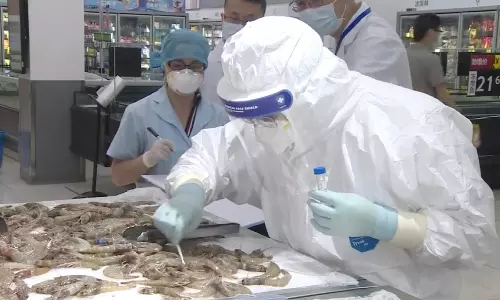 തെക്കേ അമേരിക്കയില്‍ നിന്ന് ഇറക്കുമതി ചെയ്ത ചെമ്മീനില്‍ കൊറോണ സാന്നിധ്യമെന്ന് ചൈന