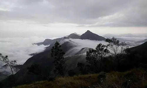 കൈക്കുമ്പിളില്‍ കോരിയെടുക്കാം തൂമഞ്ഞിനെ..മീശപ്പുലിമലയിലെ മഞ്ഞ് പെയ്യുന്ന പുലര്‍കാലങ്ങള്‍