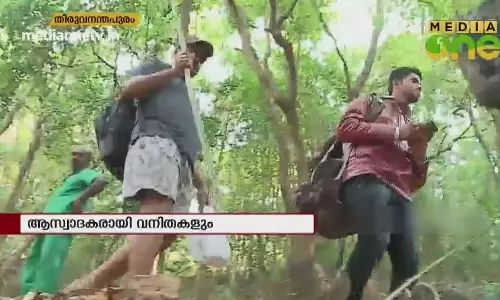 അഗസ്ത്യാർകൂട കാഴ്ചകൾ 