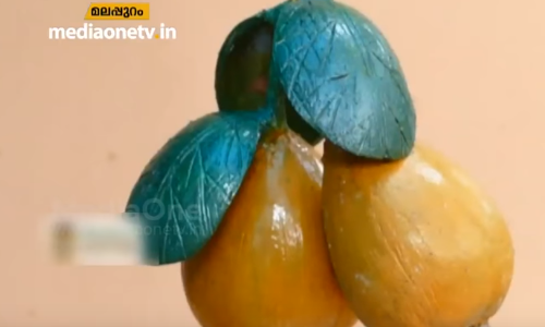 പാഴ് വസ്തുക്കളില്‍ നിന്ന് മനോഹരമായ കരകൗശല വസ്തുക്കള്‍ നിര്‍മിച്ച് മനോമോഹന്‍