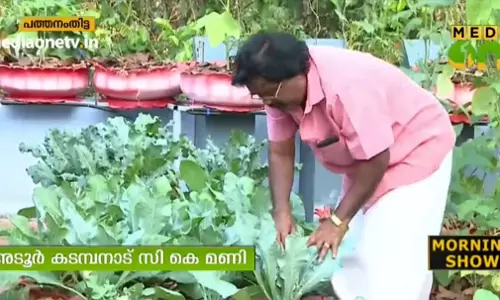 സീറോ വേസ്റ്റ് ആശയത്തില് അടുക്കളത്തോട്ടം സീറോ വേസ്റ്റ് ആശയത്തില് അടുക്കളത്തോട്ടം