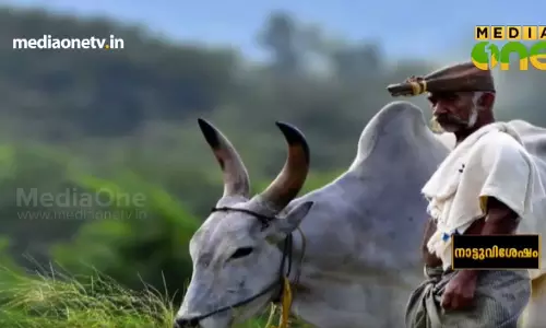 പൊന്കുന്നം വര്ക്കിയുടെ ‘ശബ്ദിക്കുന്ന കലപ്പ’ ഹ്രസ്വചിത്രമാക്കി ജയരാജ് പൊന്കുന്നം വര്ക്കിയുടെ ‘ശബ്ദിക്കുന്ന കലപ്പ’ ഹ്രസ്വചിത്രമാക്കി ജയരാജ്