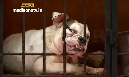 ഹോബിയായി തുടങ്ങിയ നായ വളര്‍ത്തലിലൂടെ വരുമാനം കൊയ്ത് യുവാവ്