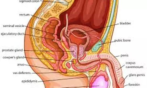 പ്രോസ്റ്റേറ്റ് രോഗങ്ങള്‍ 