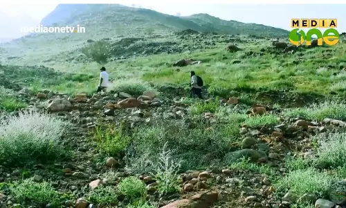 സൌദിയില്‍ പച്ചപ്പ് തേടിയുള്ള ഒരു യാത്ര 